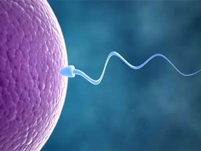 Ayurvedic Clinic for Infertility in Moshi, Ayurvedic Doctor for Infertility in Moshi | Sanjeevan Ayurveda & Panchakarma